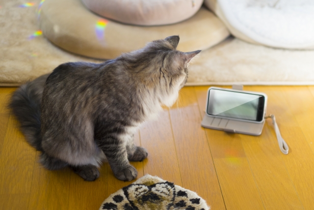スマホの活用
